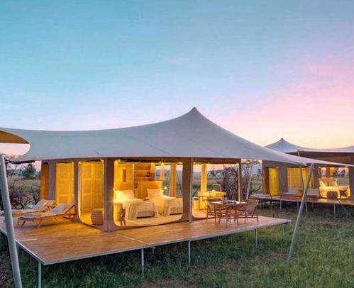 探索现代建筑之美 安徽骏阳引领膜结构工程新纪元，在线咨询开启便捷服务